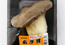 あぎ茸