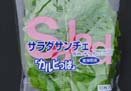 サンチュ