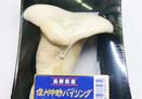 ハクレイタケ